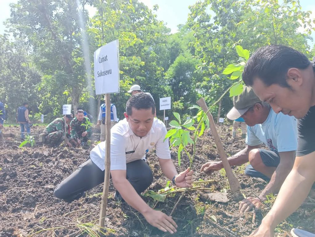 Bersama Berbagai Elemen Masyarakat, Camat Sukosewu Laksanakan Tanam Pohon 1 WhatsApp Image 2024 12 18 at 14.21.52 - Bersama Berbagai Elemen Masyarakat, Camat Sukosewu Laksanakan Tanam Pohon